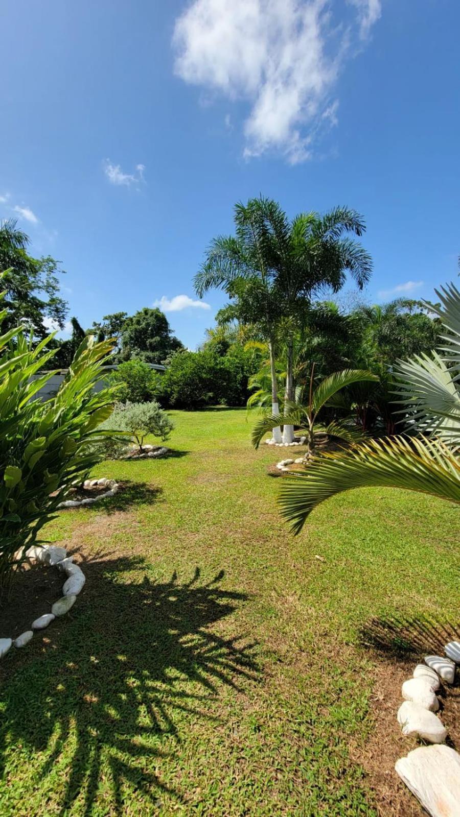 La Palmera Real Lodge La Fortuna Exterior foto