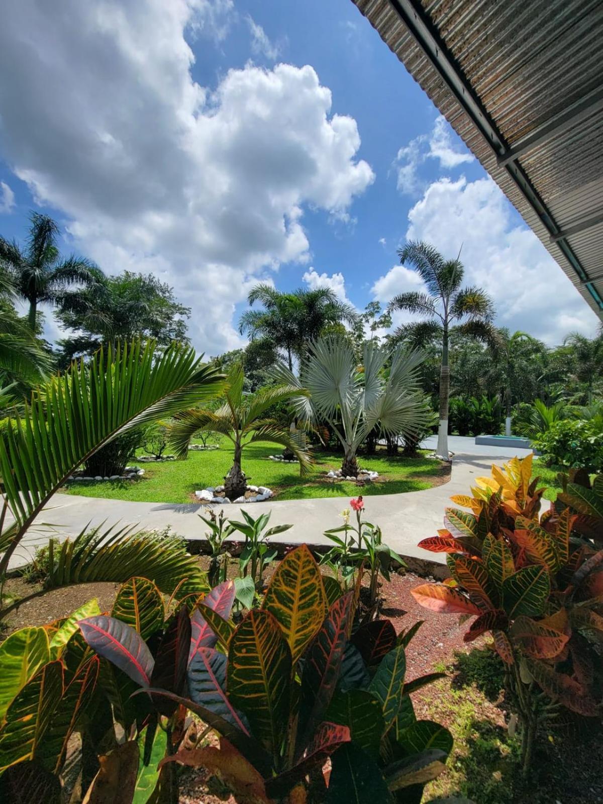 La Palmera Real Lodge La Fortuna Exterior foto